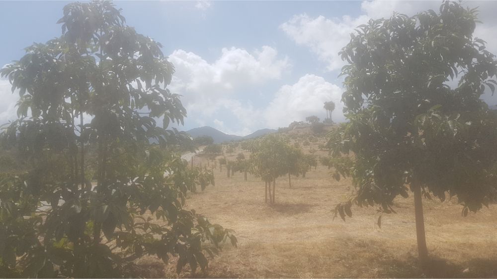 Finca Agro Sana